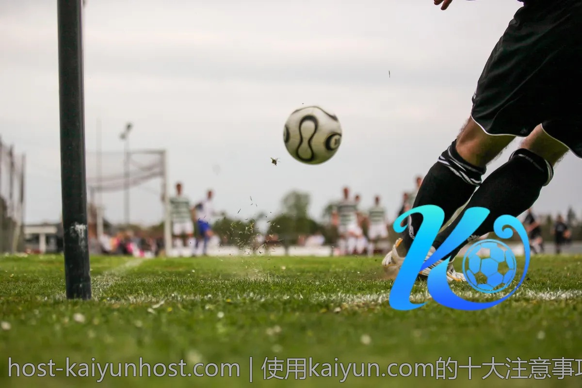 使用kaiyun.com的十大注意事项，避免踩雷